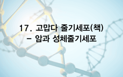 17. 고맙다 줄기세포(책) – 암과 성체줄기세포