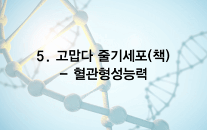 05. 고맙다 줄기세포(책) – 혈관형성능력