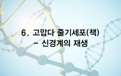 06. 고맙다 줄기세포 (책) – 신경계의 재생