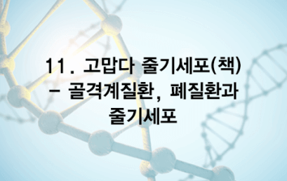 11. 고맙다 줄기세포(책) – 골격계질환, 폐질환과 줄기세포