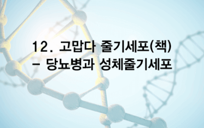 12. 고맙다 줄기세포(책) – 당뇨병과 성체줄기세포