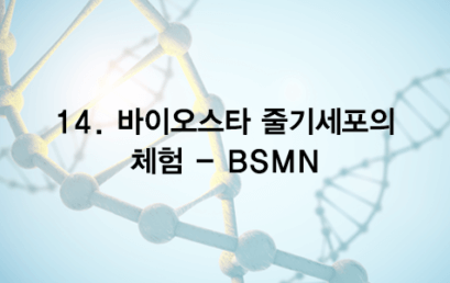 14. 바이오스타 줄기세포의 체험 – BSMN