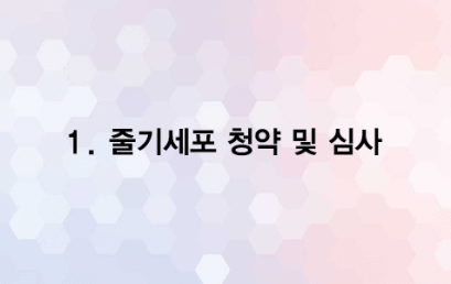 엔젤 1강좌 줄기세포 청약 및 심사